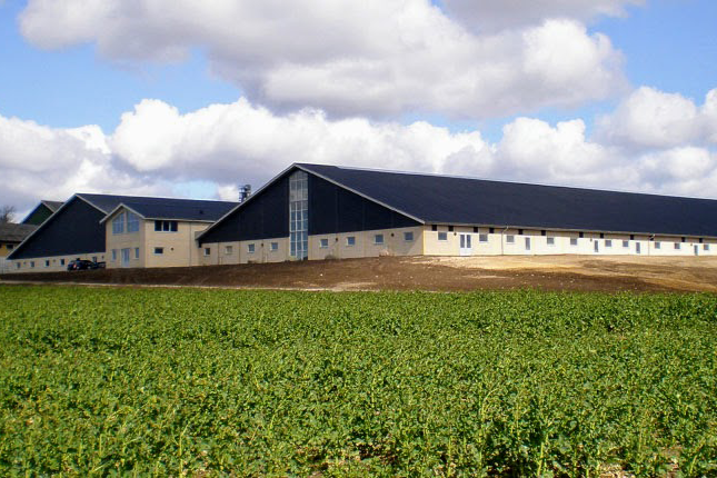 Trægitterkonstruktion – Store Vognsbæk